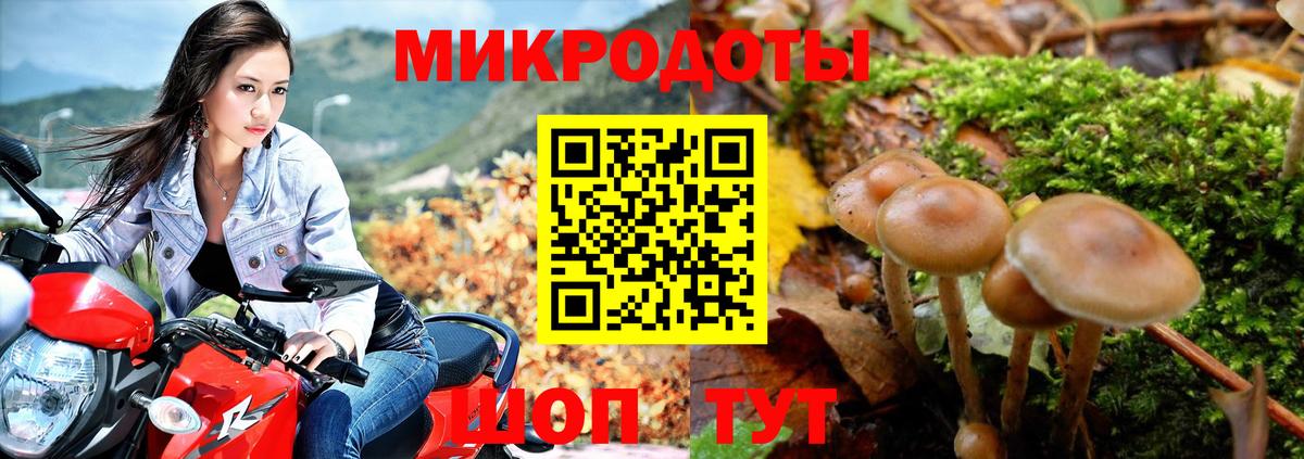 Богородицк  Галлюциногенные грибы Magic Shrooms  купить наркотик  Вход с VPN  Галлюциногенные грибы Magic Shrooms 